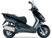 2005 Aprilia Leonardo 300 photo